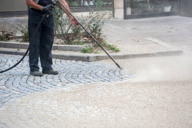 Best Animal Enclosure Cleaning  in Stockton, MO