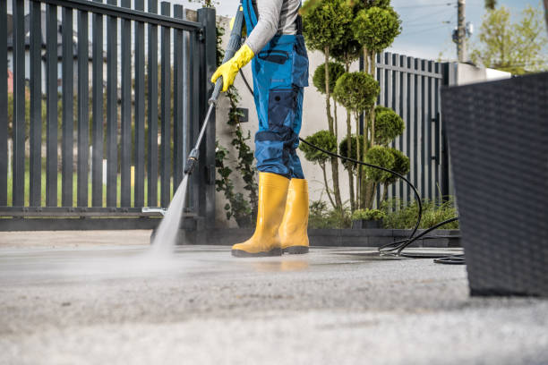 Best House Exterior Washing  in Stockton, MO